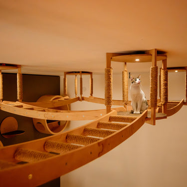 CAT CEILING PLAYGROUND, Wood Cat Furniture Set of 4 Houses and bridges, Cad wall bed Shelves, Cat comfy Perch & Pillow