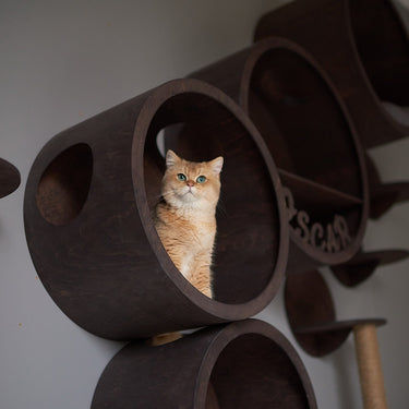 SET HOUSES for CATS, Cat House,  Modern Cat Furniture, Gift for Cat Lover, Large Cat Bed, Cat Shelf, Cat wall Tree, Modern Wall