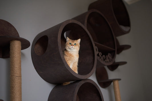 SET HOUSES for CATS, Cat House, Modern Cat Furniture, Gift for Cat Lover, Large Cat Bed, Cat Shelf, Cat wall Tree, Modern Wall