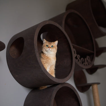 SET HOUSES for CATS, Cat House, Modern Cat Furniture, Gift for Cat Lover, Large Cat Bed, Cat Shelf, Cat wall Tree, Modern Wall