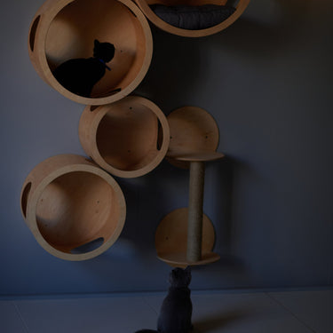SET of 6 ITEMS for CATS, Cat House,  Modern Cat Furniture, Gift for Cat Lover, Large Cat Bed, Cat Shelf, Cat wall Tree, Modern Wall