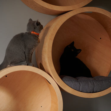 SET of 6 ITEMS for CATS, Cat House,  Modern Cat Furniture, Gift for Cat Lover, Large Cat Bed, Cat Shelf, Cat wall Tree, Modern Wall