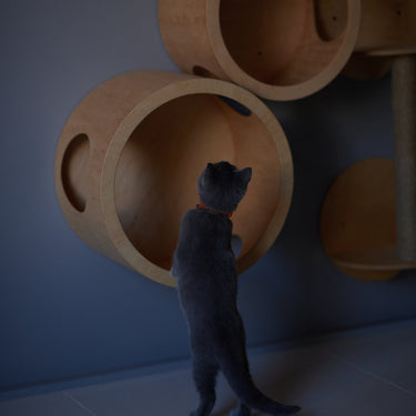 SET of 6 ITEMS for CATS, Cat House,  Modern Cat Furniture, Gift for Cat Lover, Large Cat Bed, Cat Shelf, Cat wall Tree, Modern Wall